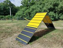 Agility – Hundespielplatz
