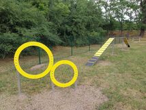 Agility – Hundespielplatz